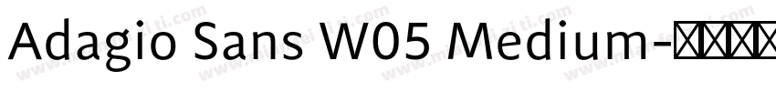Adagio Sans W05 Medium字体转换